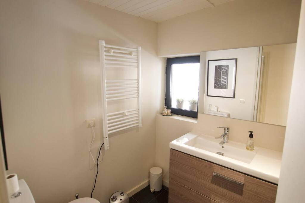 Apartament Central Amb Terrassa Альп Экстерьер фото